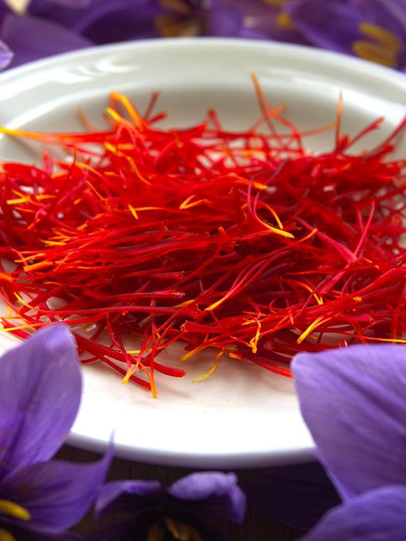 SAFFRON LACHA